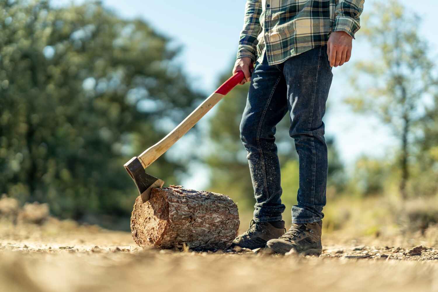 Best Tree Cutting Near Me  in Mancelona, MI